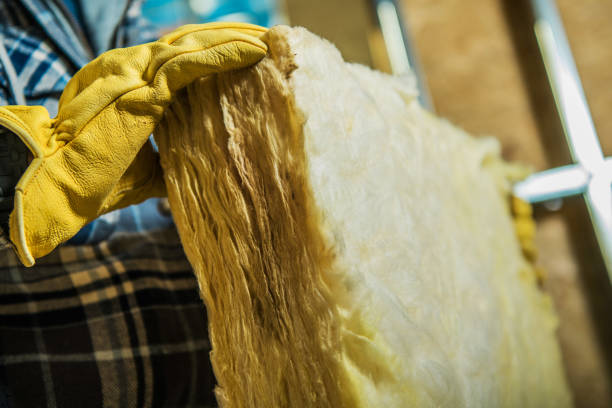 Best Insulation Maintenance and Repair in Felton, DE
